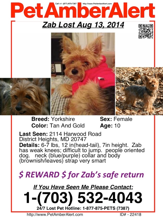 Help Bring Zab home